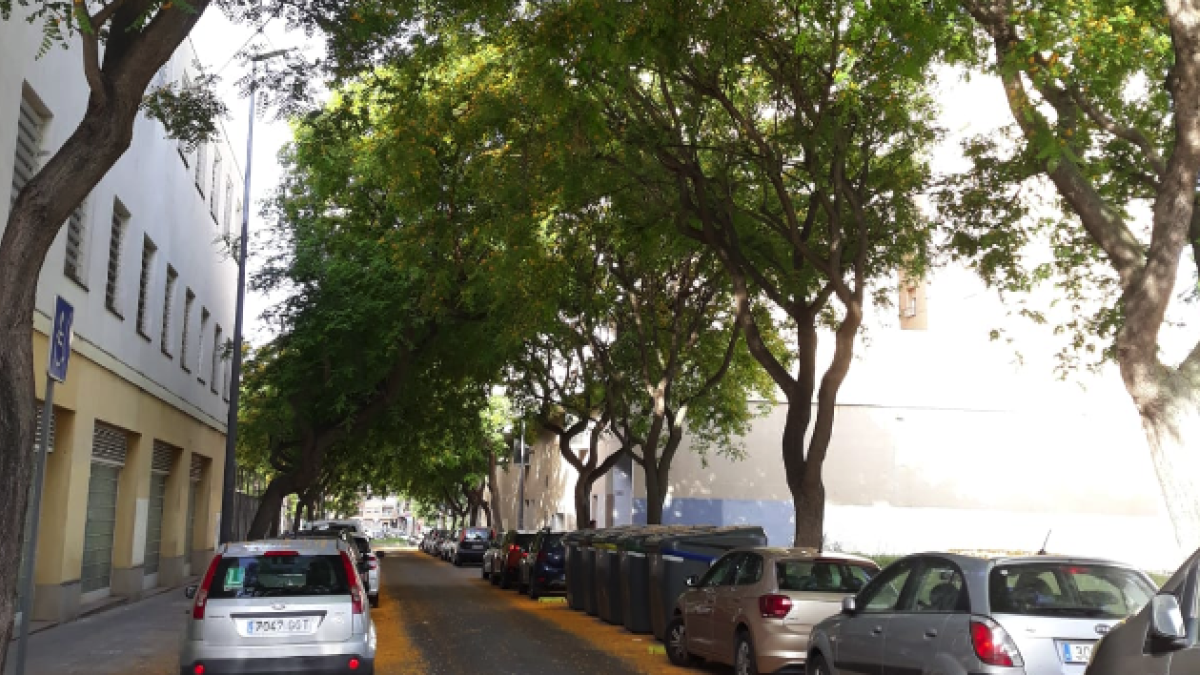 Flors caigudes a la via pública.