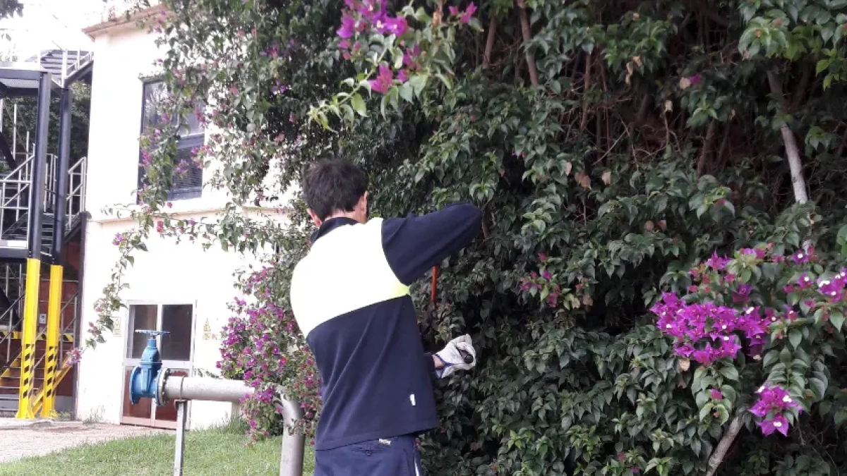 Un noi duent a terme tasques de manteniment de jardineria.