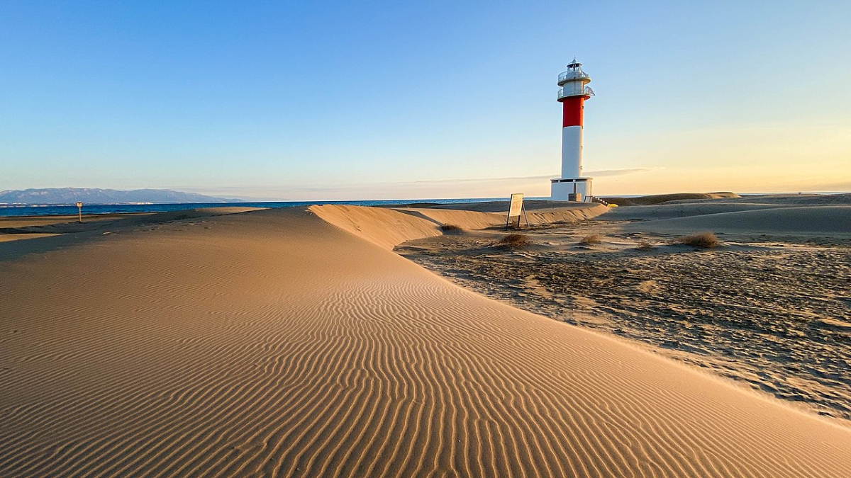 Imagen de las dunas de la playa del Fangar en Deltebre.
