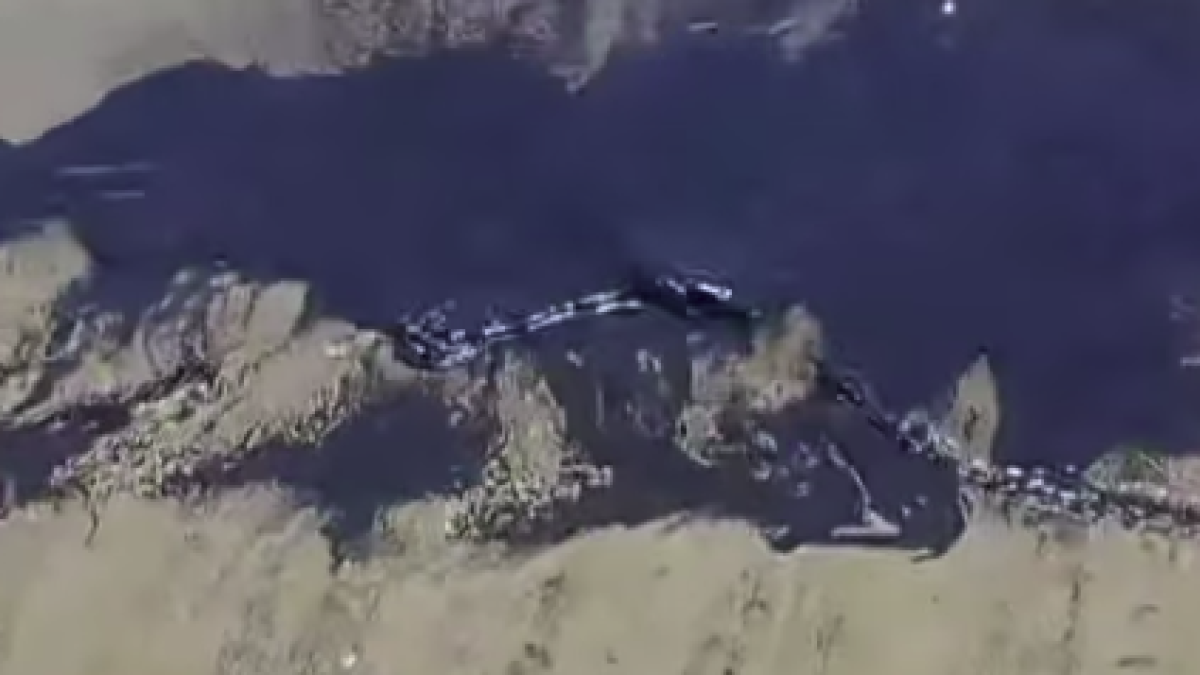 Les aigues de La Pineda amb la taca de carbó