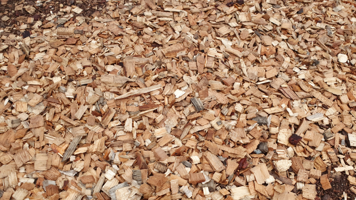 Imagen de la biomasa que se pretende utilizar para generar energía renovable