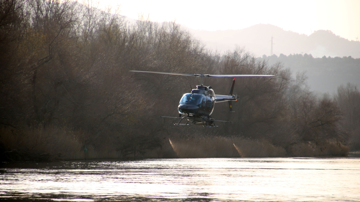 El helicóptero tirando el producto en uno de los puntos del río Ebro, donde se hace el tratamiento contra la mosca negra.