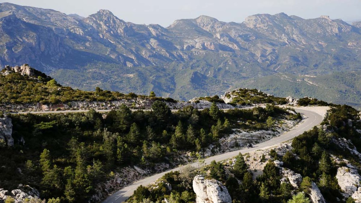 Imatge d'un tram de carrerera al Parc Natural dels Ports.