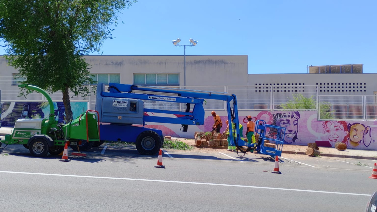 Imagen de la tala de árboles en la avenida Manuel Carrasco i Formiguera de la Canonja.