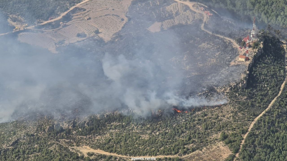 Imagen del incendio forestal de la Figuera