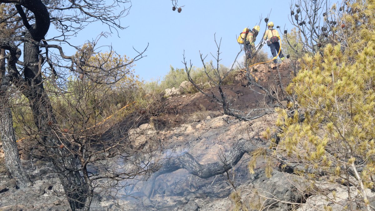 Imatge d'arxiu que mostra una branca que encara fumeja mentre dos bombers remullen la zona afectada per l'incendi de la Figurera