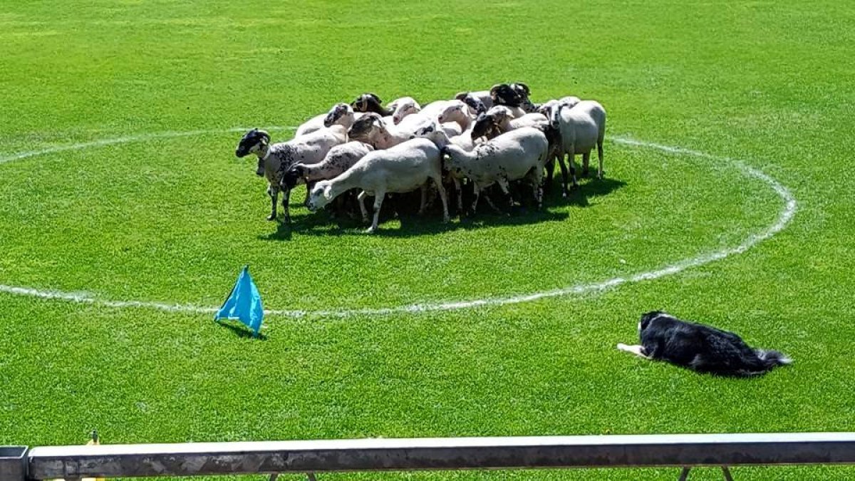 Imagen de una edición pasada del concurso.