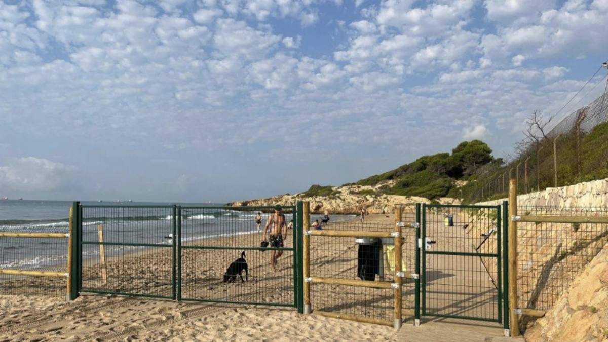 Espacio para perros habilitado en la playa Llarga.