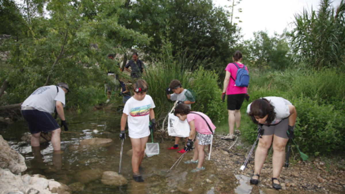 Una de les jornades passades.
