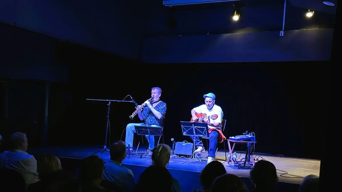Imagen de una de las actuaciones musicales.