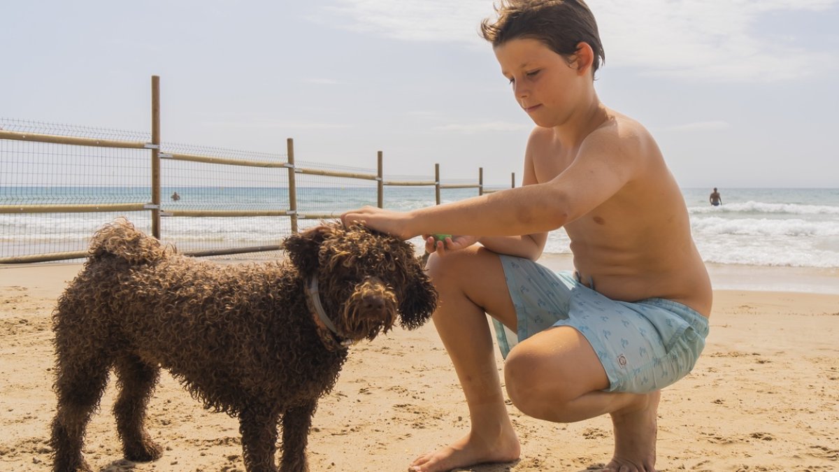 Perros en la playa Llarga de Tarragona.