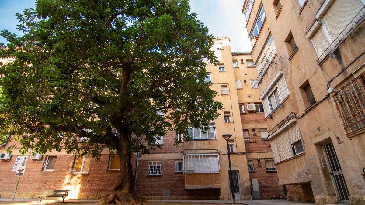 Imatge d'un edifici al barri Fortuny.