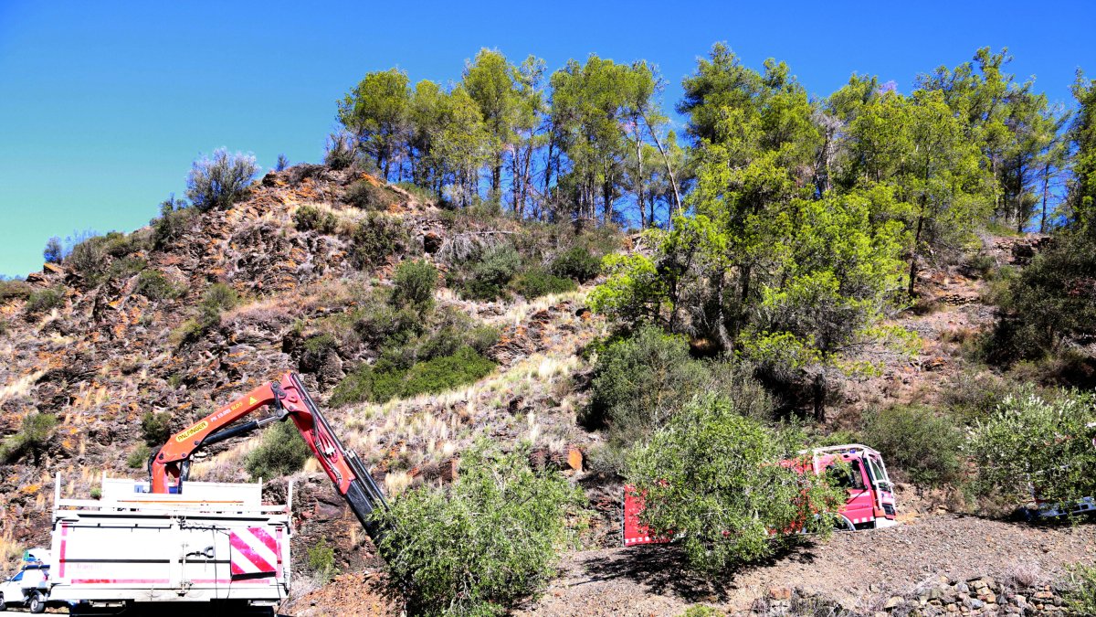 Operaris treballen en la reparació de la xarxa elèctrica a la zona afectada per l'incendi de Porrera.