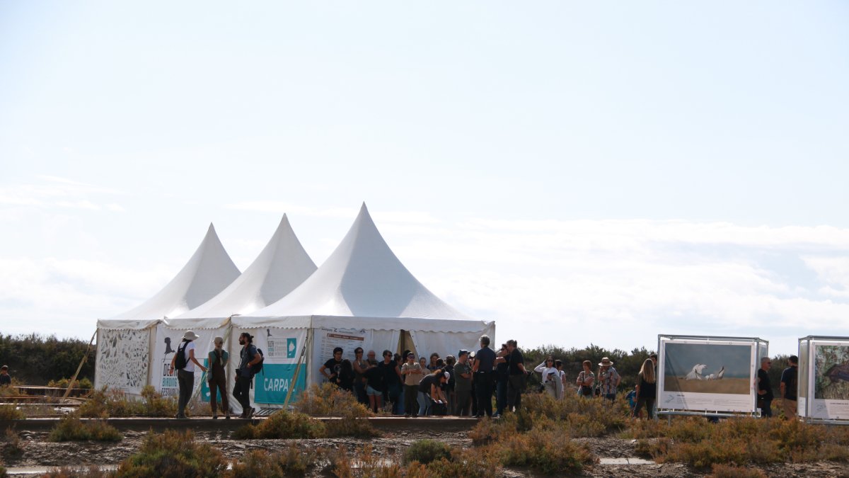 Divididos en diferentes espacios, los amantes de la naturaleza han tenido un centenar de actividades relacionadas con las aves en la décima edición del Delta Birding Festival