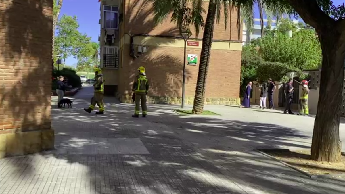 Imatge dels Bombers treballant al llocs dels fets.