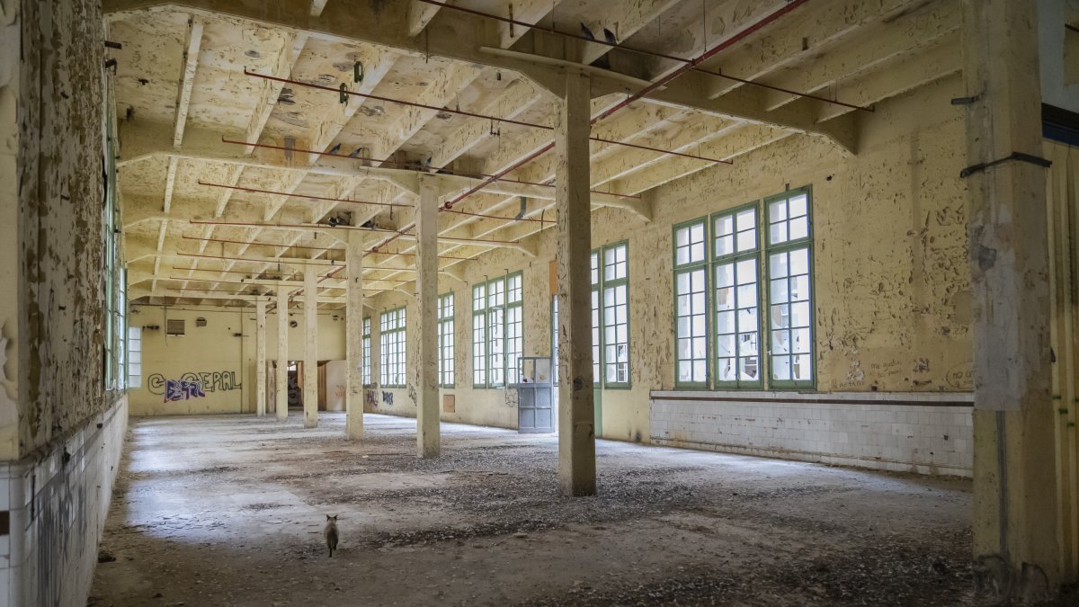 El módulo 6 de la Tabacalera ha acogido exposiciones y actividades culturales en los últimos años.