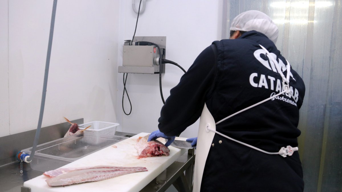 Un treballador de l’empresa Catamar filetejant peix.