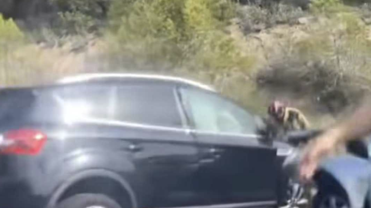 Imagen del accidente.