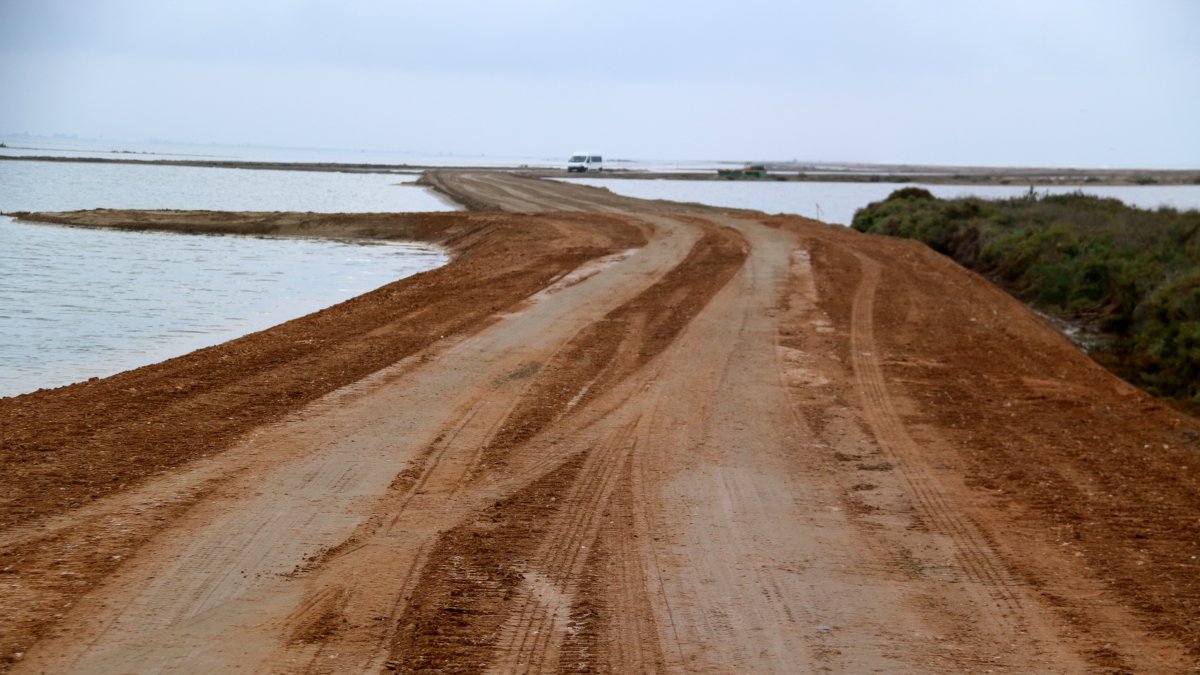 Un vehículo circula por el nuevo camino de acceso a las salinas de la Trinitat en la barra del Trabucador.