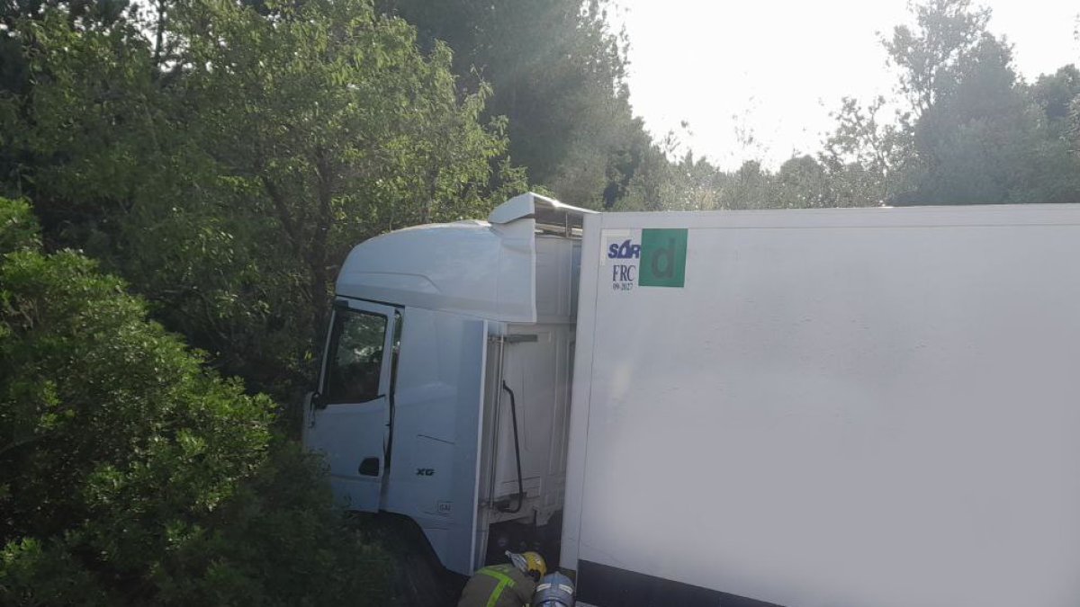 Imatge del camió accidentat.