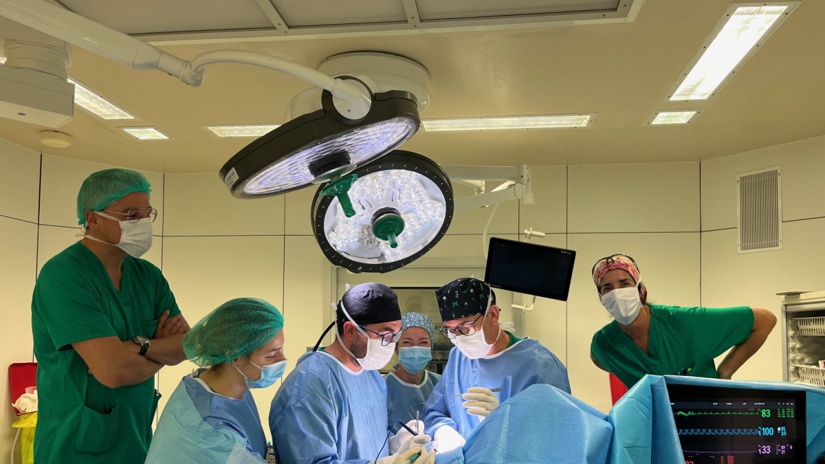 La cirurgia ha anat a càrrec del Dr. Albert Ferrando.