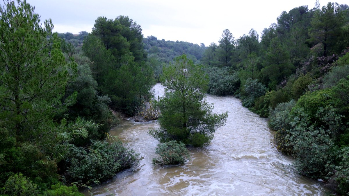 El barranc de Lloret baixa aigua del massís dels Ports al seu pas pel terme municipal de Roquetes (Baix Ebre).