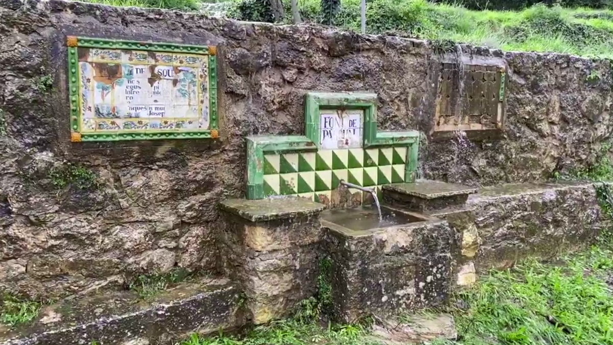 Imatge de la Font de Pascual a la Riba rajant amb força.