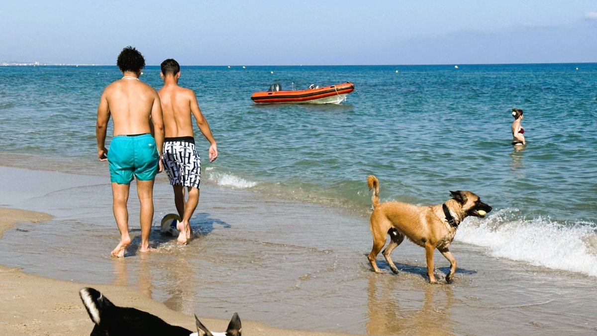 Imagen de la playa para los felpudos.