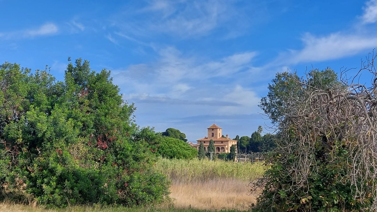 El proyecto ‘RENATUReus’ incluye la creación de una balsa.