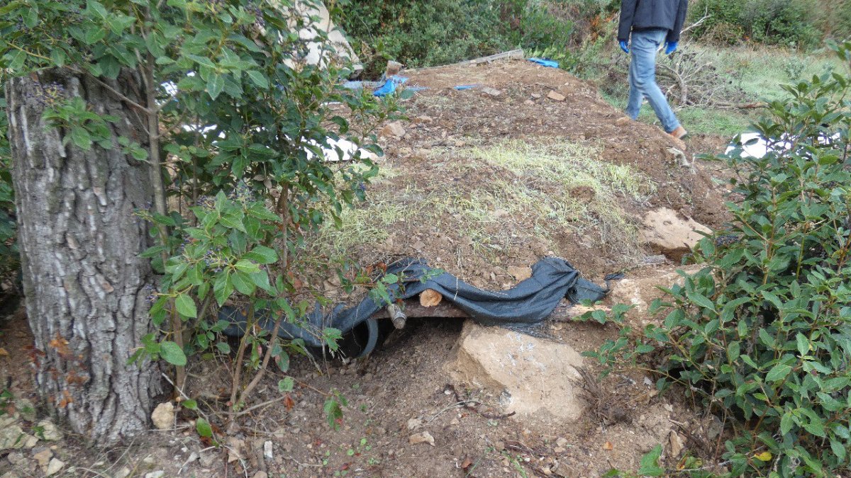 Los ovillos estaban escondidos en varios agujeros hechos en el suelo.