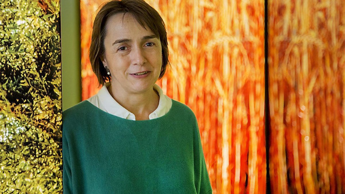 Gemma Carbó dirige el Museo Terra-Fundació Carulla, que hasta el 2024 se llamaba Museo de la Vida Rural.