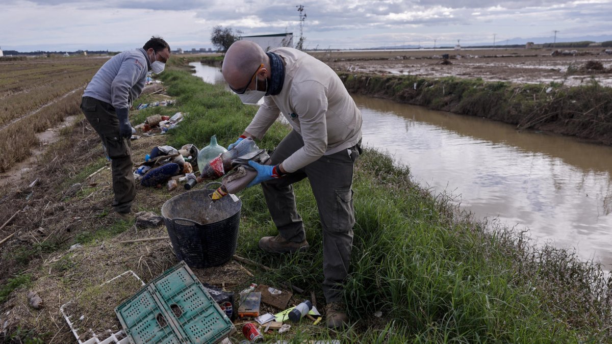 Dos miembros de la brigada de la Red Natura 2.000 se encargan de amontonar la basura traída hasta los arrozales de La Albufera por la fuerza del agua de las inundaciones provocadas por la dana