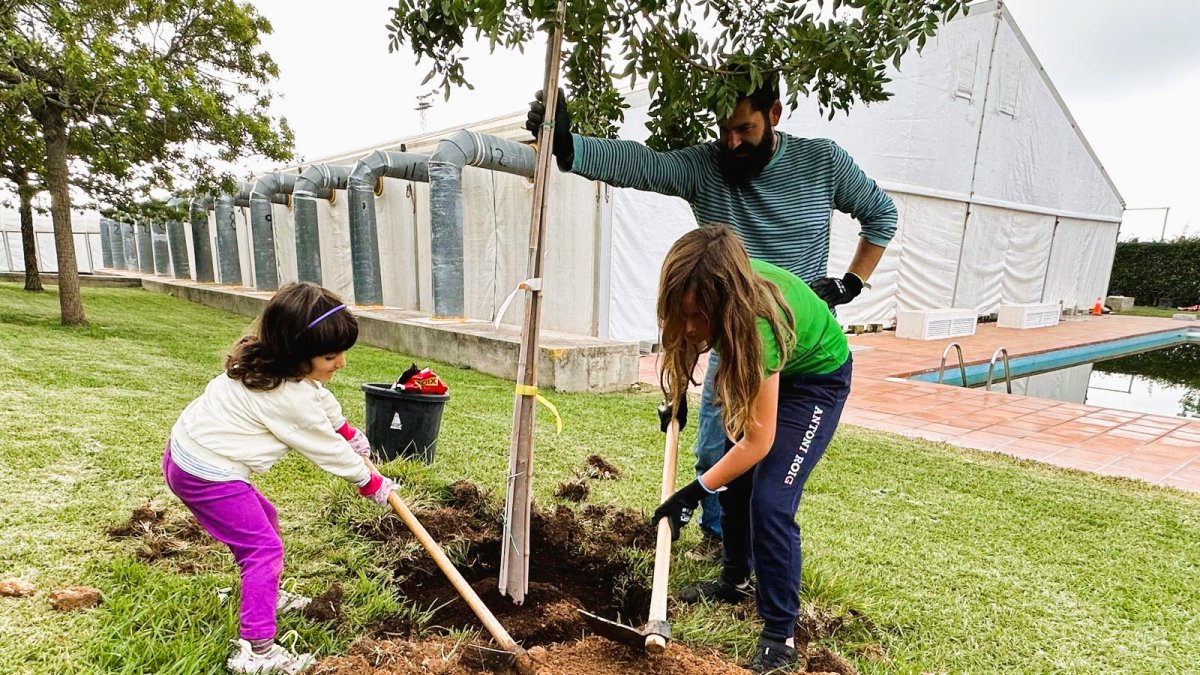 Un instante de la Fiesta del Árbol de Torredembarra.