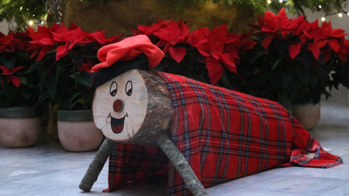 Imagen del Tió de Navidad del Parlament