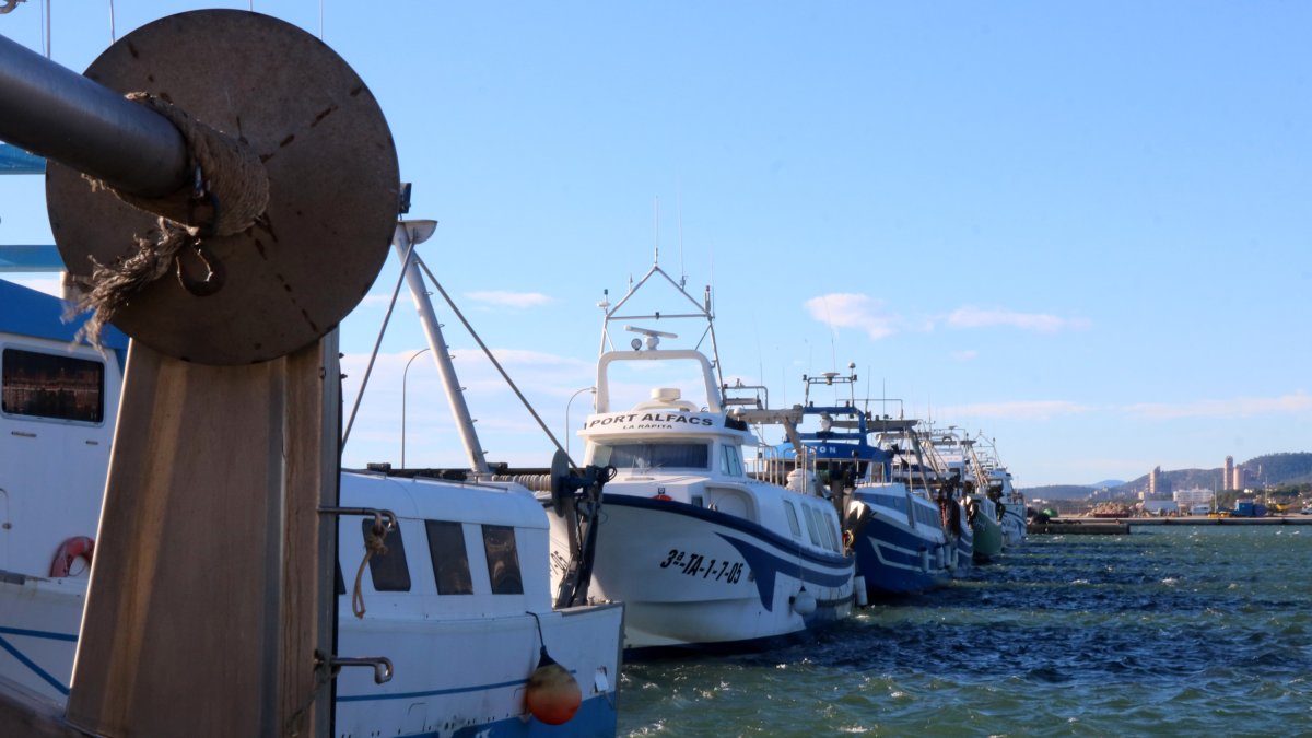 Varias barcas de arrastre amarradas en el muelle pesquero de la Ràpita.