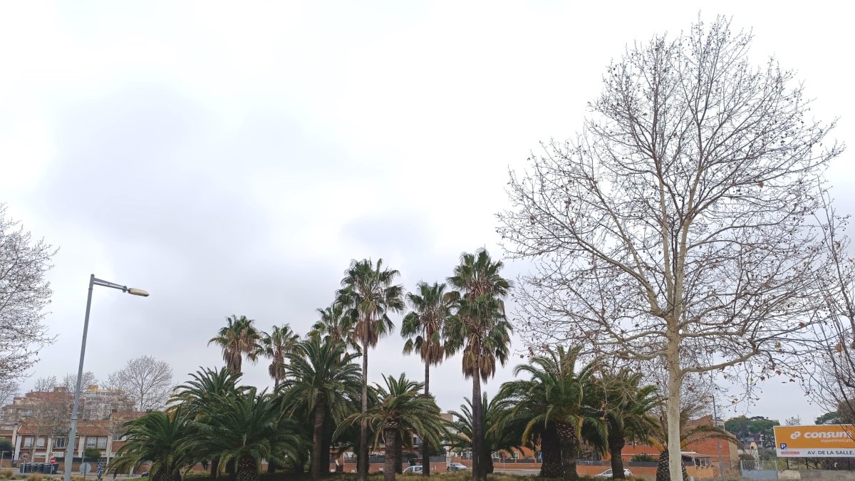 El primer SUDS se construirá en la avenida de Riudoms.