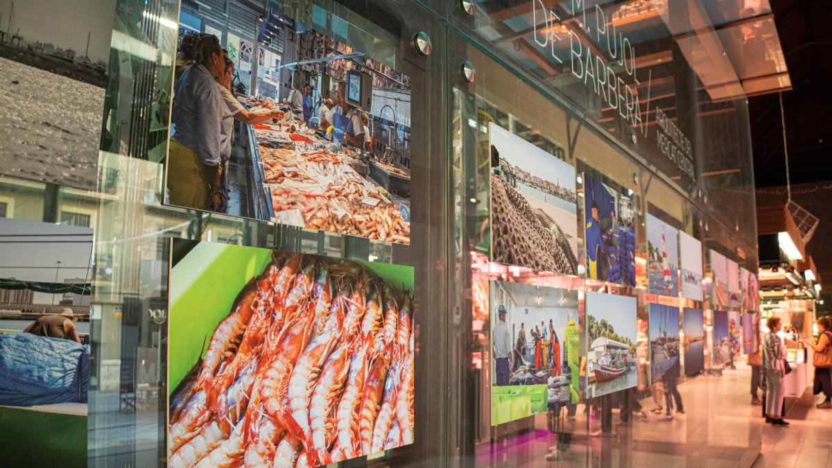 Imatges de l'exposició del Mercat Central.