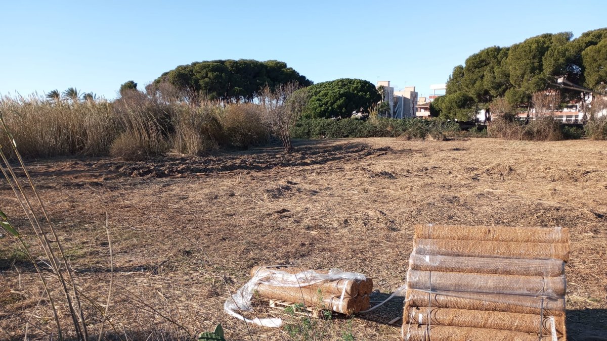 Imatge de les lines instal·lades a la Riera de Maspujols.