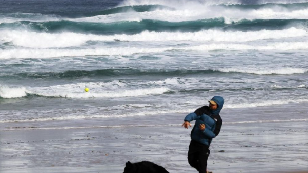 Un hombre juega con su perro con oleaje en la playa.