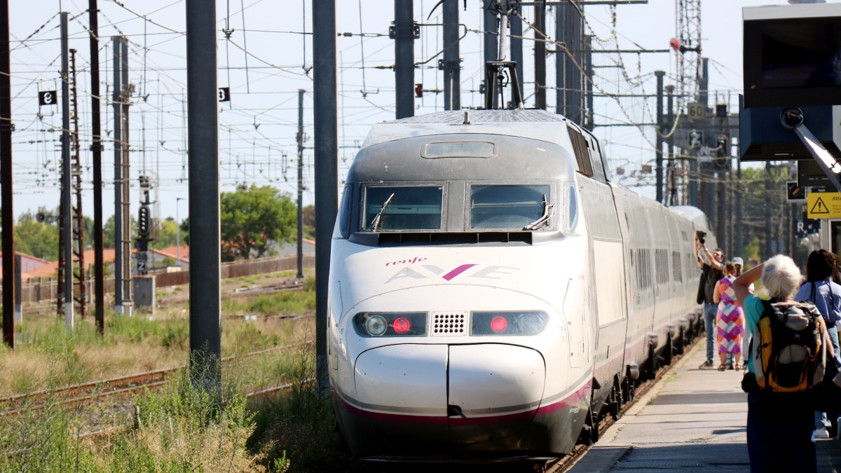 Imatge del tren AVE.