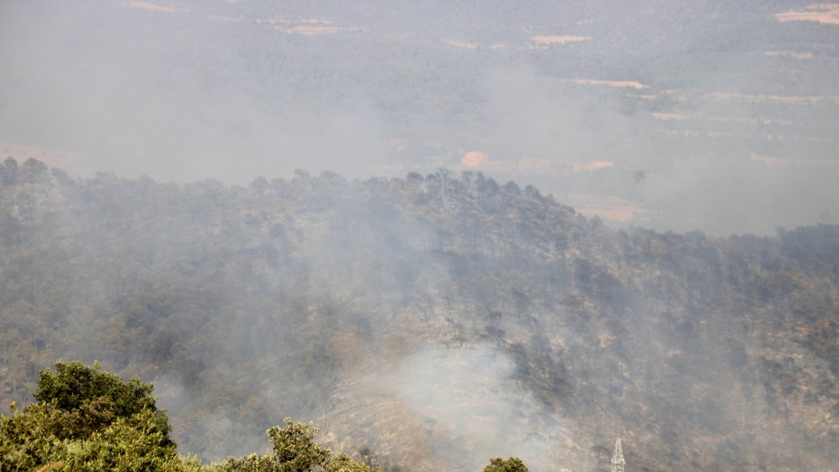 Incendio forestal en Vilanova de Meià.