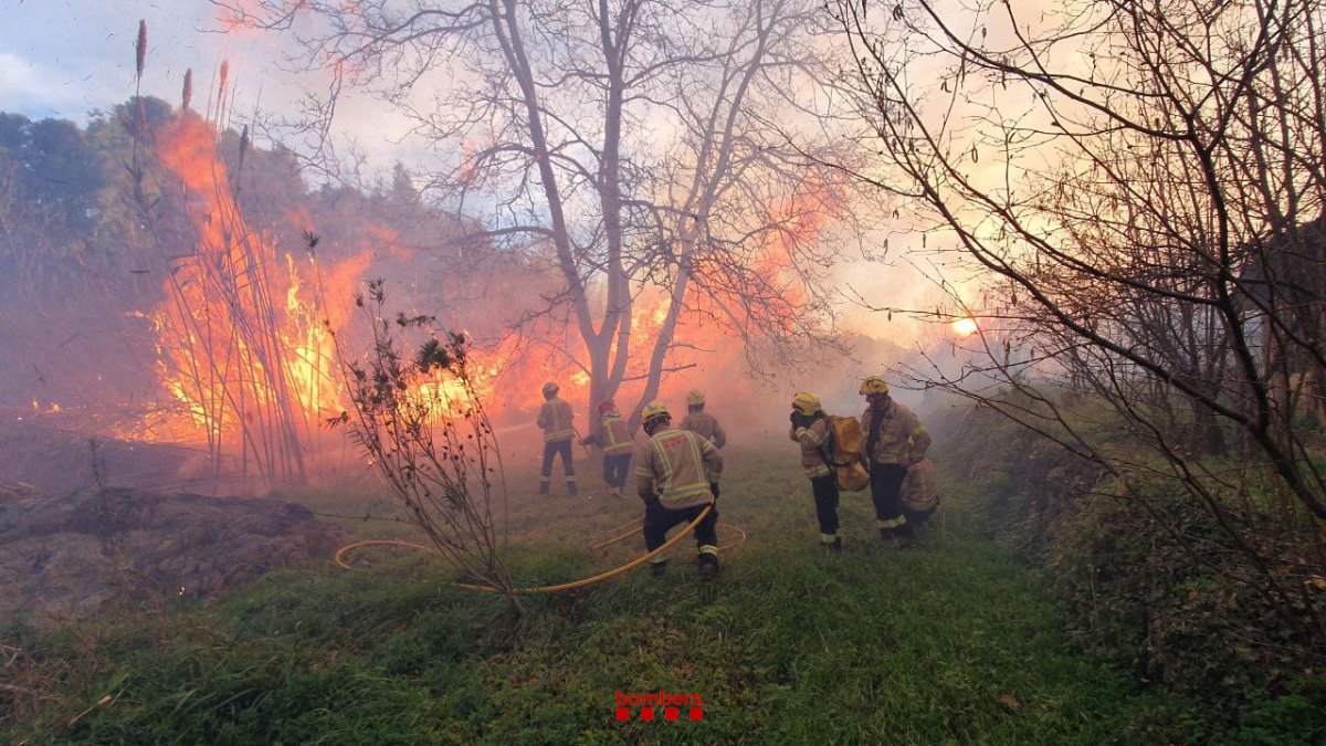 Los Bomberos trabajando en la extinción del incendio