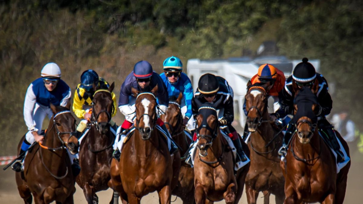 Imatge d'una de les curses de l'esdeveniment