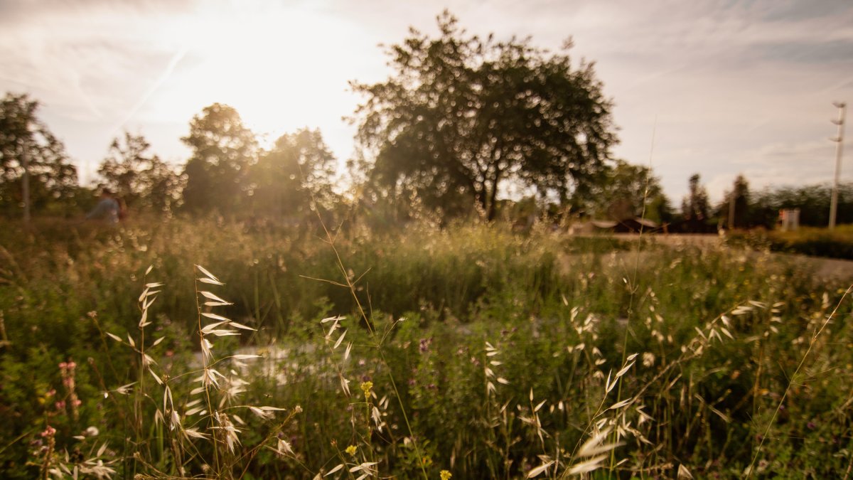 Jardinería del Parque del Deslizamiento.