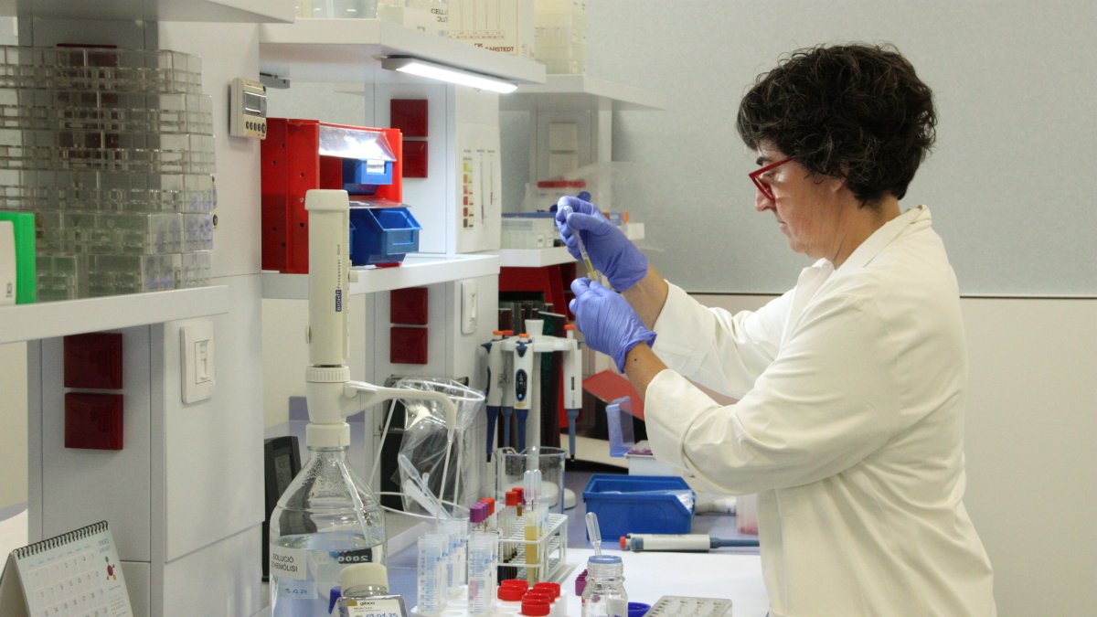 Imagen del Biobanco que el IISPV del hospital Sant Joan de Reus.