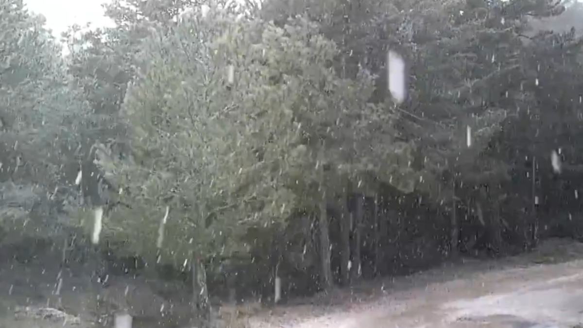 Imatge de la neu al Parc Natural dels Ports.