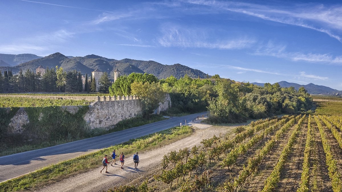 Imatge panoràmica d’arxiu d’un paisatge de la Conca de Barberà.