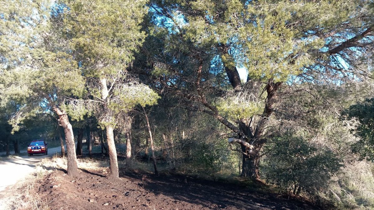Imatge de l'incendi de Castellvell del Camp.