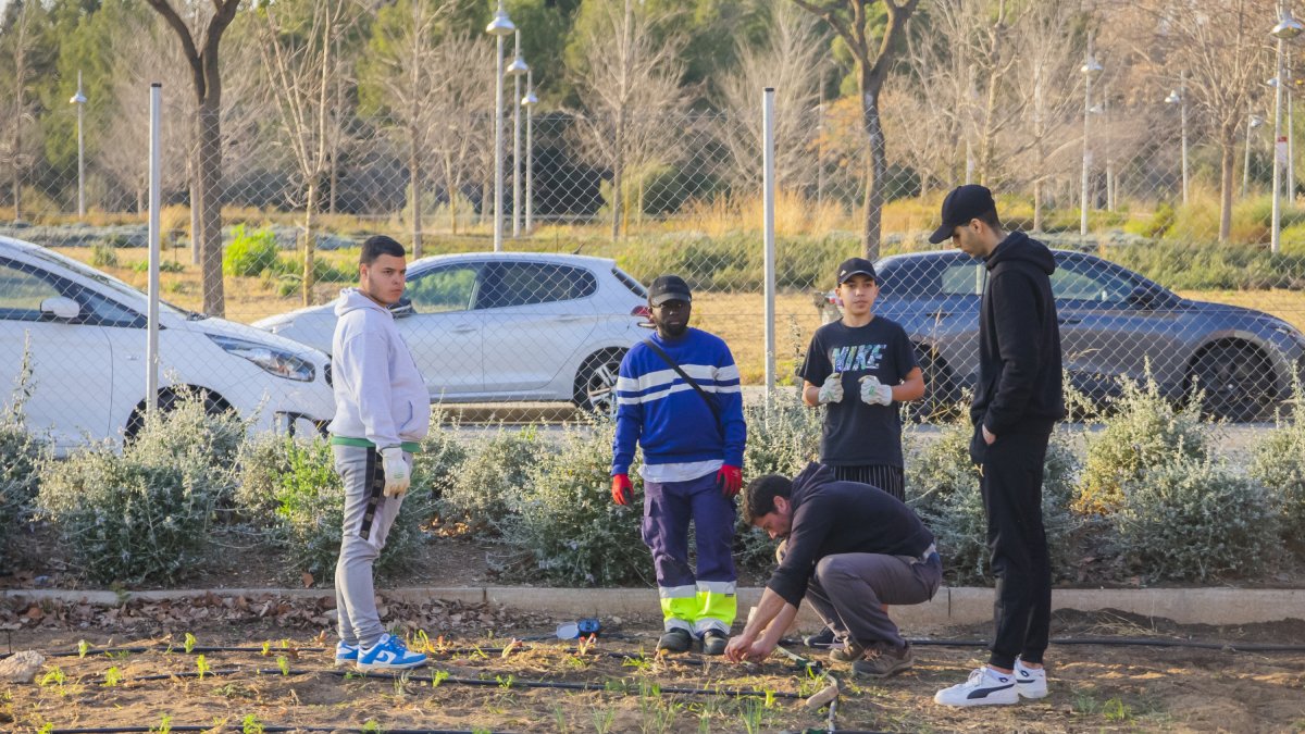 Los jóvenes en el Jardí Agrari del Camp.