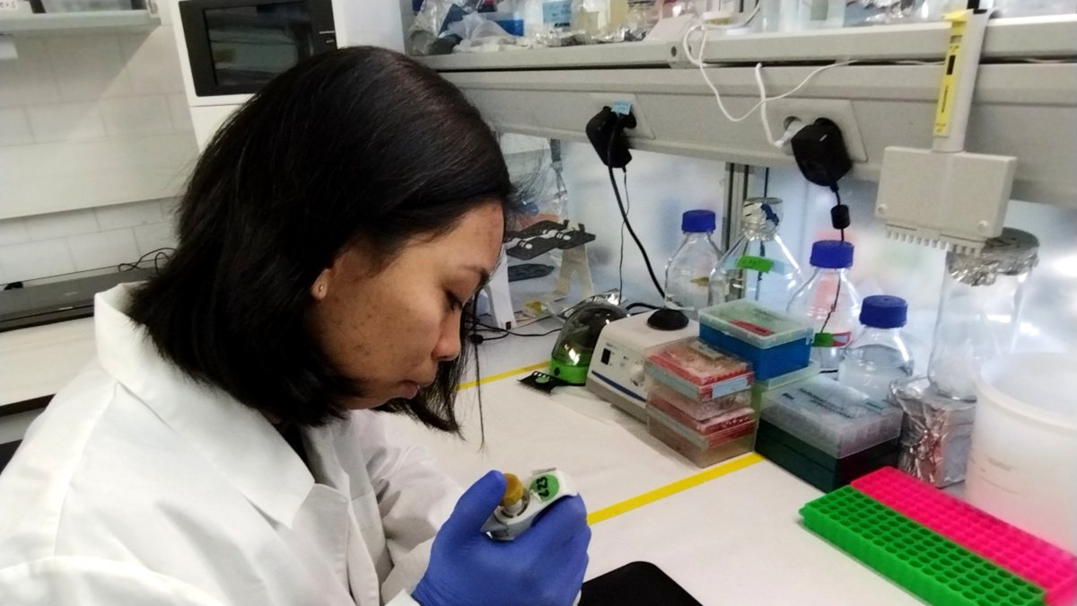 La investigadora Christine Justo amb la prova diagnòstica de la tricomoniasi desenvolupada pel grup de recerca Interfibio de la URV.